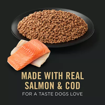 Product Purina Pro Plan Sport High Protein Adult Wet Dog Food - Salmon & Cod, 13 oz