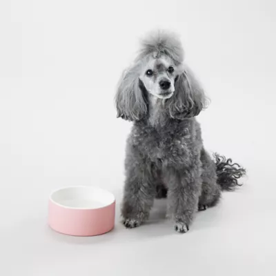 Product PAIKKA Naturally Cooling Ceramic Water Dog & Cat Bowl
