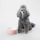 Product PAIKKA Naturally Cooling Ceramic Water Dog & Cat Bowl