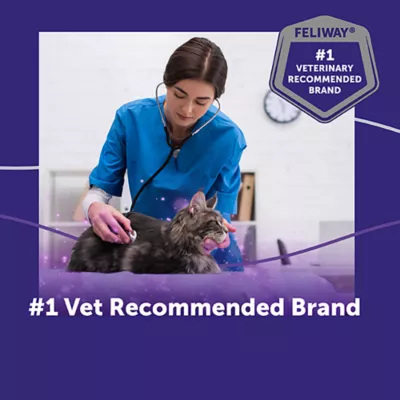 Product Feliway® Optimum Enhanced Calming Refill 48mL