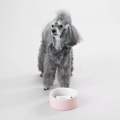 Product PAIKKA Naturally Cooling Ceramic Slow Feeder Dog & Cat Bowl