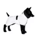Product PAIKKA Fully Reflective Dog Raincoat