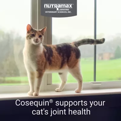 Product Nutramax® Cosequin® Soft Chews Joint Supplement for Cats
