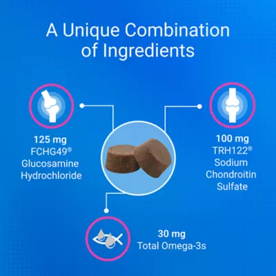 Product Nutramax® Cosequin® Soft Chews Joint Supplement for Cats