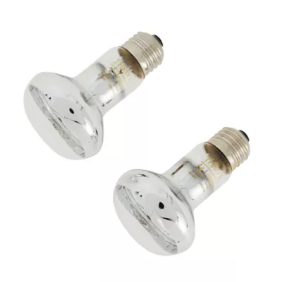 Product Thrive Essential Basking Spot Bulb - Value Pack