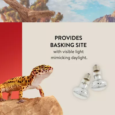 Product Thrive Essential Basking Spot Bulb - Value Pack