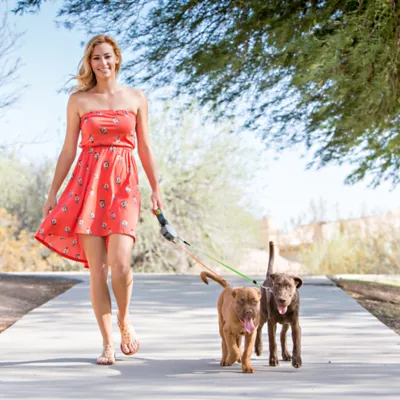 Product Wigzi Dual Doggie Retractable Dog Leash: 10-ft long