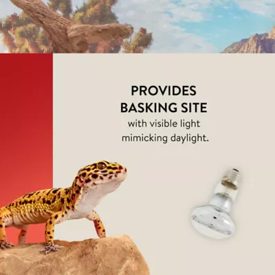 Product Thrive Essential Basking Spot Bulb