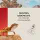 Product Thrive Essential Basking Spot Bulb