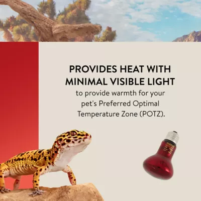 Product Thrive Nocturnal Infrared Spot Bulb