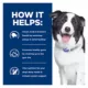 Product Hill's® Prescription Diet® t/d Dental Care Adult Dog Food - Chicken