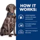 Product Hill's® Prescription Diet® d/d Skin/Food Sensitivities Adult Dry Dog Food - Venison