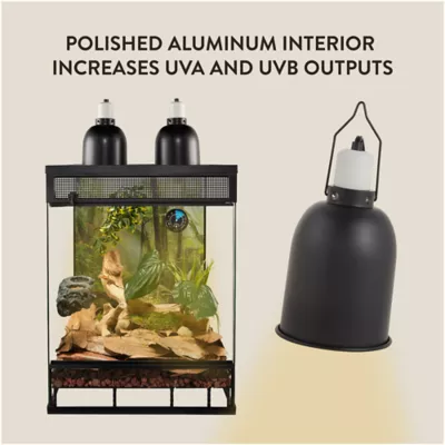 Product Thrive Desert Basking Set