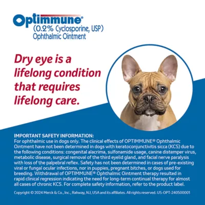 Product Optimmune Ophthalmic Ointment 0.2%, 3.5g Tube