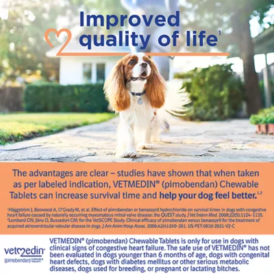 Product Vetmedin Chewable Tablets 2.5mg - 50 Count