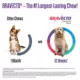 Product Bravecto Chews 22-44 lbs Green, 500 mg 1 chewable, 12 weeks acting