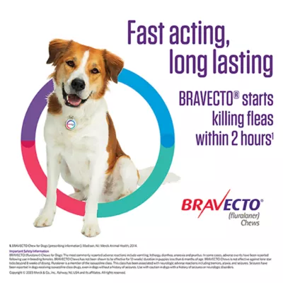 Product Bravecto Chews 22-44 lbs Green, 500 mg 1 chewable, 12 weeks acting