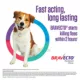 Product Bravecto Chews 22-44 lbs Green, 500 mg 1 chewable, 12 weeks acting