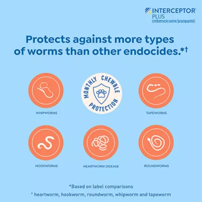 Product Interceptor Plus Chewable Tablets for Dogs - 50.1 - 100 lbs, Blue Box