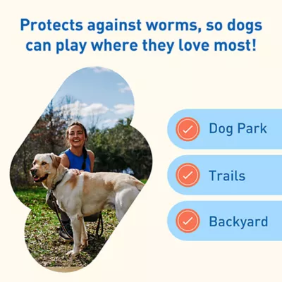 Product Interceptor Plus Chewable Tablets for Dogs - 50.1 - 100 lbs, Blue Box