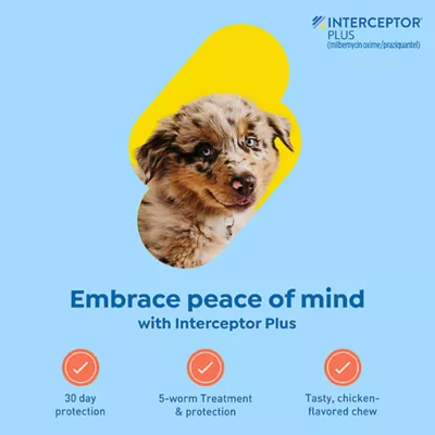 Product Interceptor Plus Chewable Tablets for Dogs - 2-8 lbs, Orange Box