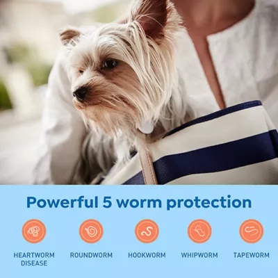 Product Interceptor Plus Chewable Tablets for Dogs - 2-8 lbs, Orange Box