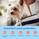 Product Interceptor Plus Chewable Tablets for Dogs - 2-8 lbs, Orange Box