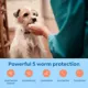 Product Interceptor Plus Chewable Tablets for Dogs - 8.1-25 lbs, Green Box