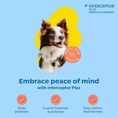 Product Interceptor Plus Chewable Tablets for Dogs - 25.1-50 lbs, Yellow Box