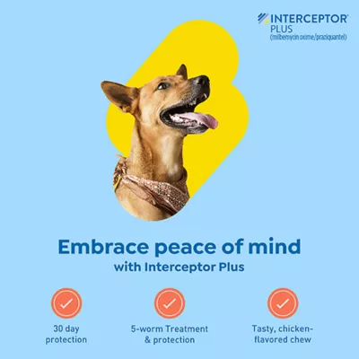 Product Interceptor Plus Chewable Tablets for Dogs - 50.1 - 100 lbs, Blue Box