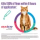 Product Bravecto Topical Solution for Cats, 6.2 - 13.8 lbs 250 mg Blue