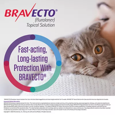 Product Bravecto Topical Solution for Cats, 6.2 - 13.8 lbs 250 mg Blue