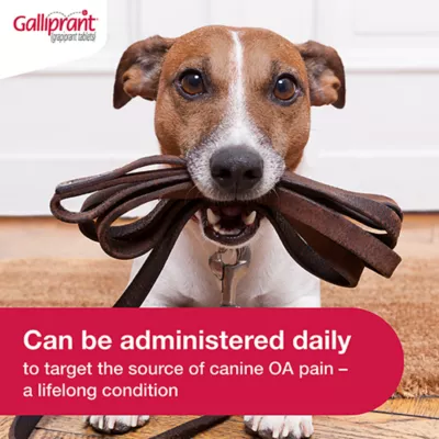 Product Galliprant Tablets for Dogs - 20mg