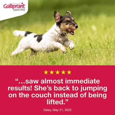 Product Galliprant Tablets for Dogs - 20mg