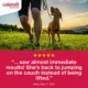 Product Galliprant Tablets for Dogs - 60mg