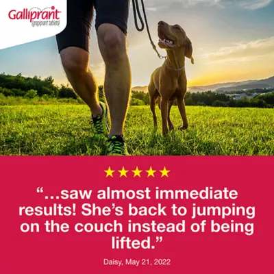 Product Galliprant Tablets for Dogs - 100mg