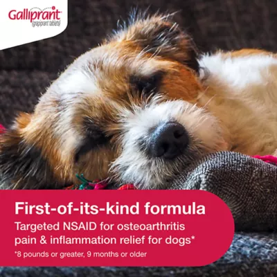 Product Galliprant Tablets for Dogs - 20mg