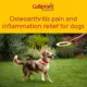 Product Galliprant Tablets for Dogs - 60mg