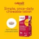 Product Galliprant Tablets for Dogs - 60mg