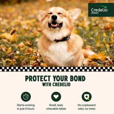 Product Credelio Flea & Tick Chewable Tablets for Dogs & Puppies 12.1-25 lbs (225 mg) Orange