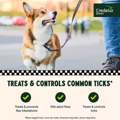 Product Credelio Flea & Tick Chewable Tablets for Dogs & Puppies 12.1-25 lbs (225 mg) Orange