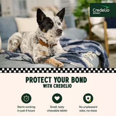 Product Credelio Flea & Tick Chewable Tablets for Dogs & Puppies 25.1-50 lbs (450 mg) Green