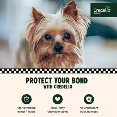 Product Credelio Flea & Tick Chewable Tablets for Dogs & Puppies 4.4-6 lbs (56.25 mg) Yellow