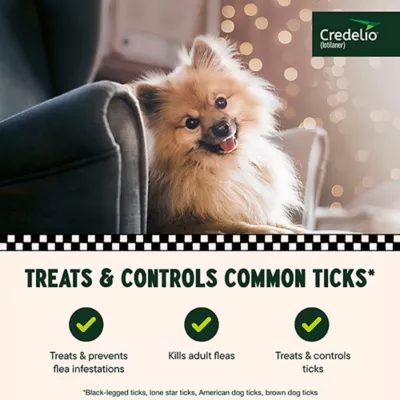 Product Credelio Flea & Tick Chewable Tablets for Dogs & Puppies 4.4-6 lbs (56.25 mg) Yellow