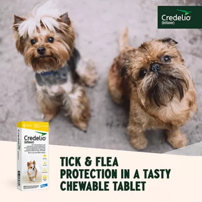 Product Credelio Flea & Tick Chewable Tablets for Dogs & Puppies 4.4-6 lbs (56.25 mg) Yellow