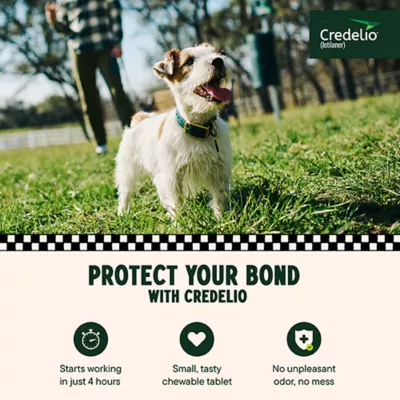 Product Credelio Flea & Tick Chewable Tablets for Dogs & Puppies 6.1-12 lbs (112.50 mg) Pink