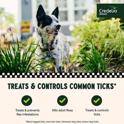 Product Credelio Flea & Tick Chewable Tablets for Dogs & Puppies 25.1-50 lbs (450 mg) Green