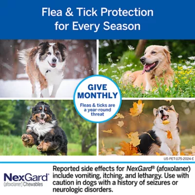 Product NexGard Chewable Tablets for Dogs 60.1-121 lbs