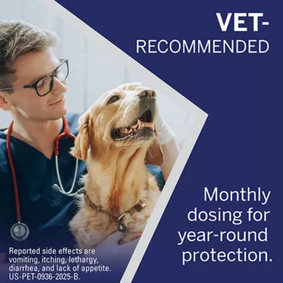 Product NexGard Chewable Tablets for Dogs 60.1-121 lbs