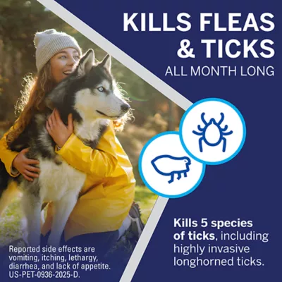 Product NexGard Chewable Tablets for Dogs 60.1-121 lbs